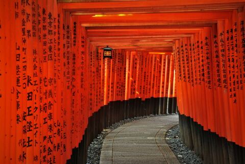 Fushimi Inari